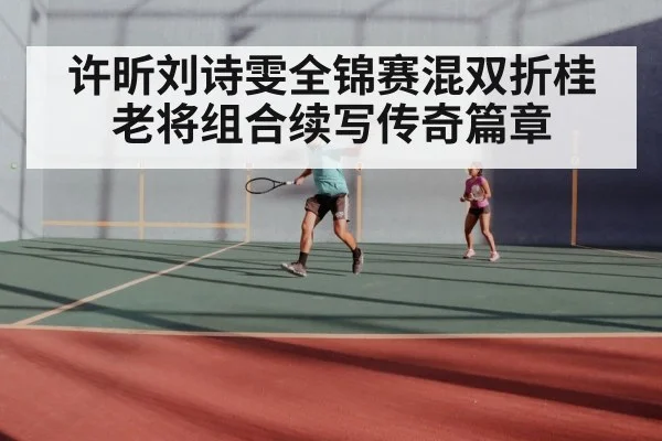 许昕刘诗雯全锦赛混双折桂老将组合续写传奇篇章